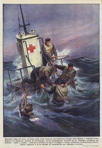 海上独特的避难所