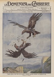 空气的悲剧，在Valnerina（Macerata）的两只老鹰之间的激烈斗争以杀死一只 作者 阿基里·贝尔特拉姆（Achille Beltrame）