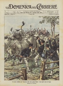 一个新的入侵罗马土地的系统，牛推向了部队 作者 Achille Beltrame