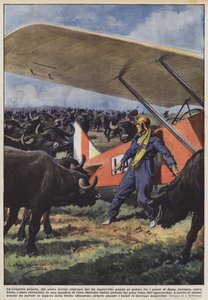 波兰Unaviatrice，由于山区突然发动机故障而不得不降落？ 作者 Achille Beltrame