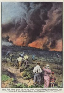 来自干旱的暴力森林火灾已在各个地方爆发？ 作者 Achille Beltrame