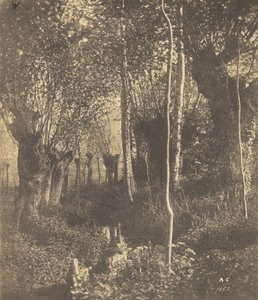 [景观，阿拉斯]，1852年。 作者 阿达尔伯特·库维利埃