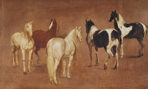 研究五匹马 作者 Adam Frans van der Meulen