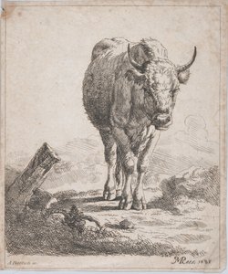 一头奶牛，从正面看，1805年。