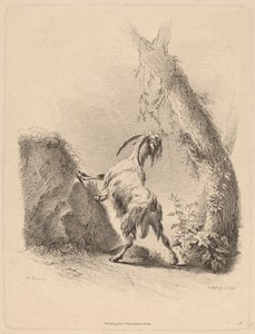 风景中的山羊，1805年。