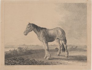 马站在田野上的轮廓向左，1809年。