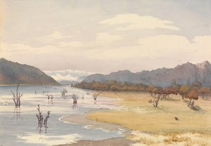阿库莱奥湖，智利，1851 年 1 月 11 日