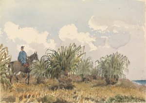 托斯卡草，福克兰群岛 作者 海军上将爱德华·根尼斯·范肖爵士