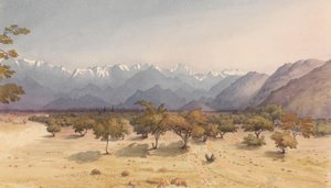 1851 年 1 月 14 日，距离[智利]圣罗莎两里格[与安第斯山脉和阿空加瓜山]"。 作者 海军上将爱德华·根尼斯·范肖爵士