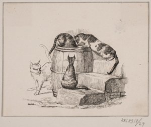 猫 作者 阿道夫·基滕多夫