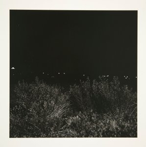 罗西永附近的 Une Mare 作者 阿道夫·阿皮安