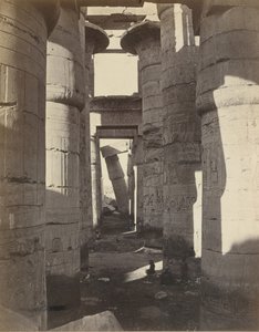 上埃及，卡纳克的大厅，约1870年。 作者 阿道夫·布劳恩（Adolphe Braun）