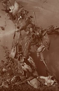 [静物：死亡游戏] 作者 阿道夫·布劳恩（Adolphe Braun）