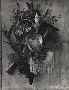 狩猎战利品 作者 阿道夫·布劳恩（Adolphe Braun）