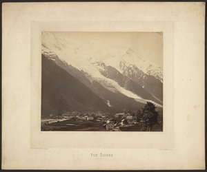 瑞士观点 作者 阿道夫·布劳恩（Adolphe Braun）