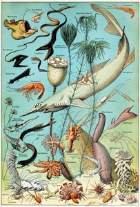 深海水下的场面c.1923的例证 作者 阿道夫·菲利普·米洛