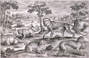 三只猫和两只猴子（雕版画） 作者 阿德里亚恩·科拉特