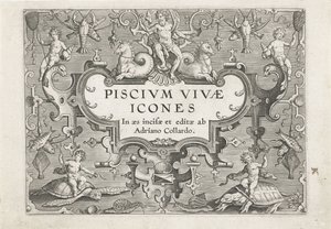 以海洋生物为装饰的标题印刷品 双鱼座（系列名） Piscium v​​ivae 图标（系列标题） 作者 阿德里亚恩·科拉特