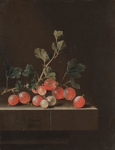 桌上的醋栗，1701年。 作者 阿德里安·库尔特