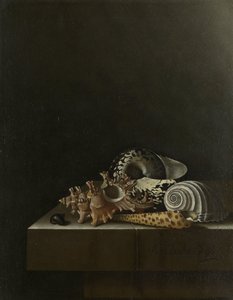 石基座上的贝壳 作者 阿德里安·库尔特