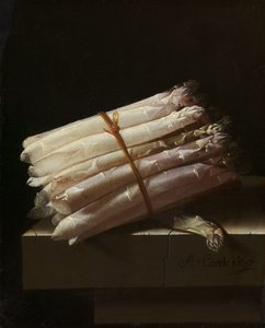 芦笋静物画