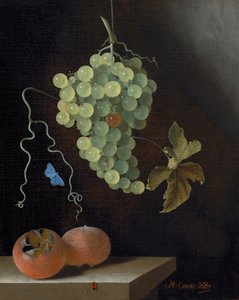 悬挂着一串葡萄的静物，两颗梅花鹿和一只蝴蝶 作者 阿德里安·库尔特