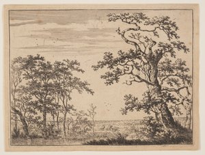 池塘 作者 阿德里亚恩·亨德里克斯（Adriaen Hendricksz）。威宝