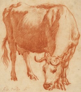 放牧的牛，c.1663（红粉笔画）