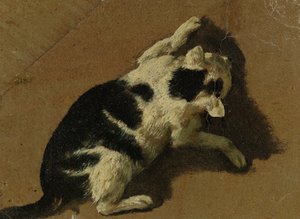 猫玩（画笔）