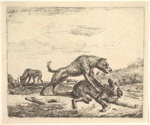 斗狗，来自不同动物，1657年。 作者 阿德里亚恩·范·德·韦尔德