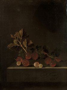 一个石头小树枝在石柱基上，1699年 作者 阿德里安·库尔特