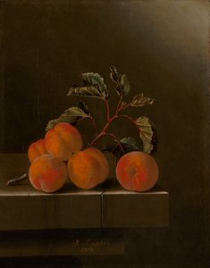 五杏静物图，1704年