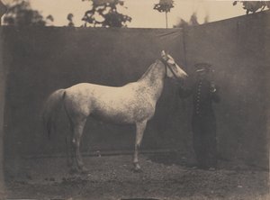 帕斯卡琳，约1855-60。