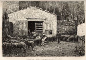 The sheep trade, all the staff of the farm were employed in this task, boy, servant, under the supervision of the shepherd, engraving after a drawing by A.Marie, illustrating a journey to Roquefort and its surroundings, by Adrien Roques and Jules Charton,  作者 艾德里安·伊曼纽尔·玛丽