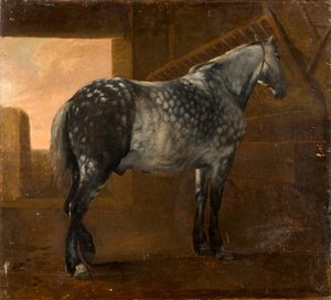 Dapple Grey Horse