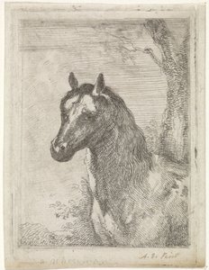 马头 作者 Aert Scouman（艺术家签名）