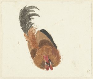 研究一只死去的公鸡 作者 艾尔特·舒曼