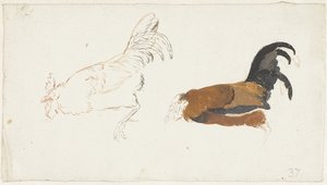 关于一只死公鸡的两项研究 作者 艾尔特·舒曼