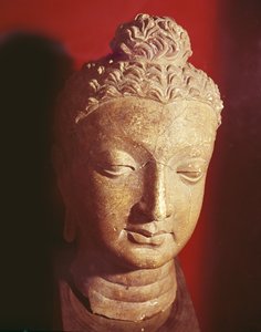 来自Hadda（陶瓷）的希腊佛教风格的佛头