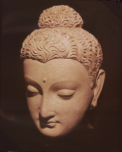 来自Hadda（灰泥）的希腊佛教风格的佛头