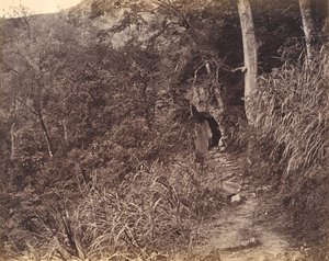 左边 通往圆福寺的路，约1869年。