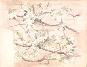 苹果花 作者 艾格尼丝·斯洛特·莫勒