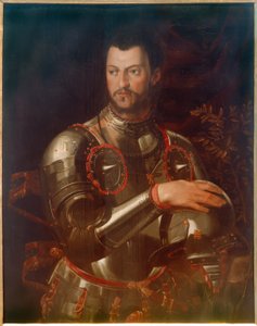 科西莫一世公爵身着盔甲的画像 作者 Agnolo Bronzino