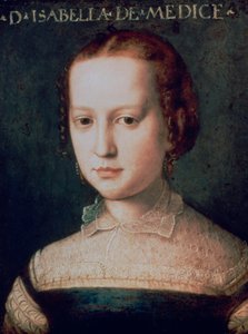 伊莎贝拉·德·美第奇（Isabella de Medici），十六世纪 作者 Agnolo Bronzino