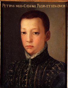 Don Pietro de Medicis (1554-1604) 的肖像 (Pietro de 
