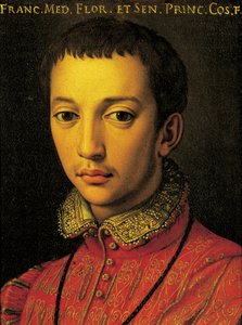 弗朗西斯科一世-德-美第奇的肖像（佛罗伦萨 作者 Agnolo Bronzino