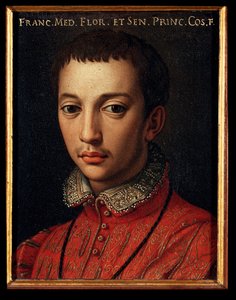 美第奇的弗朗索瓦一世 (Francesco I de Medici) (1541-1587) 小男孩画作 Allori Angelo di Cosimo dit Bronzino (1503-1572) 16 世纪太阳 15x12 厘米宫美第奇-里卡迪 (Medici Riccardi) 佛罗伦萨 作者 Agnolo Bronzino