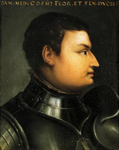 洛多维科-德-美第奇的肖像，又称乔万尼-达勒-班德-尼雷（Forli 作者 Agnolo Bronzino