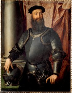 Condottiere Stefano Colonna 的肖像 作者 Agnolo Bronzino