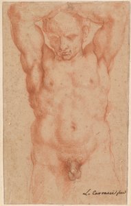 男性裸体 作者 阿戈斯蒂诺·卡拉奇（Agostino Carracci）